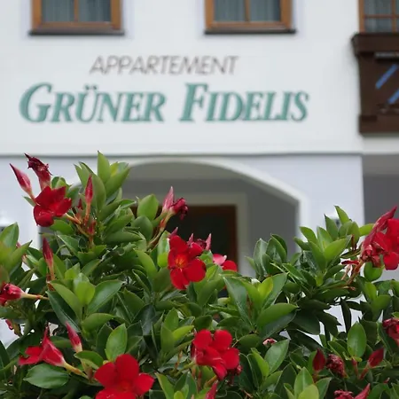 Апартаменты Gruener Fidelis Зёльден